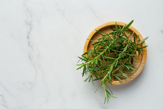 The Benefits of Rosemary for Your Dog